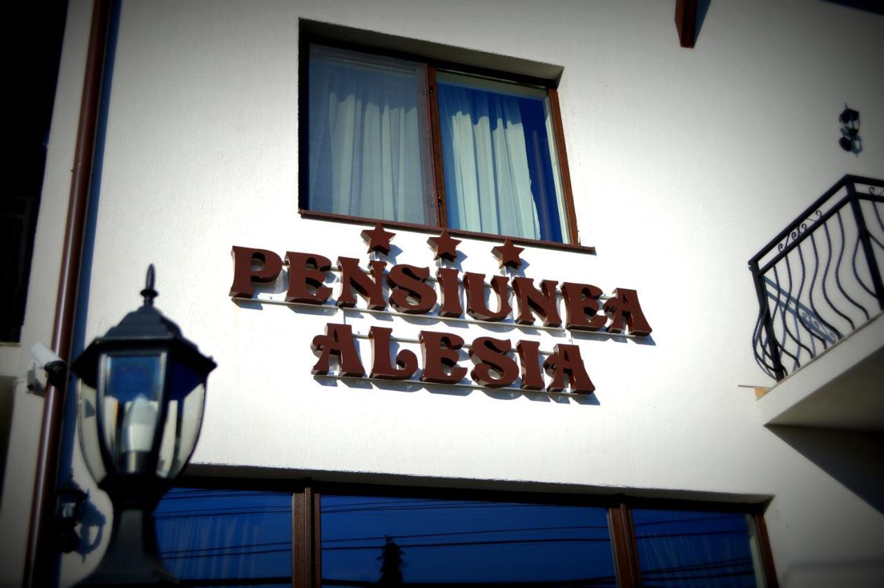 Pensiunea Alesia Pucioasa Экстерьер фото