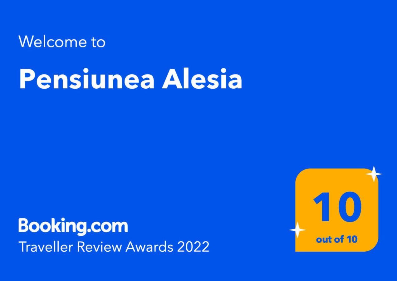 Pensiunea Alesia Pucioasa Экстерьер фото